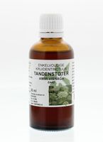 Natura Sanat Ammi visnaga/tandenstoker tinctuur (50 ml) - thumbnail