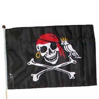 Kids At Work piratenvlag inclusief veilige mast lengte 60 cm