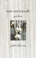 Wat ons toevalt - Judith Dufourny - Paperback (9789402114591)