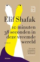 10 minuten 38 seconden in deze vreemde wereld - Elif Shafak - ebook - thumbnail