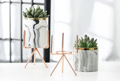 Bloempot op standaard kopen? Plantenpot voor binnen