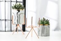 Bloempot op standaard kopen? Plantenpot voor binnen