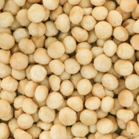 Macadamia noten gebrand & ongezouten 1000 gram