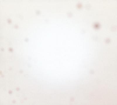 There's A Riot.. - LP (0744861116684)