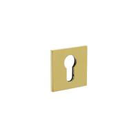 Olivari rozet vierkant PC mess. titaan PVD