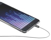 Cellularline ST 3.5/3.5 AU Audio Kabel - Grijs