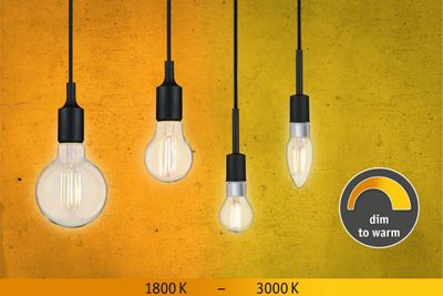 Paulmann 28777 LED-lamp Energielabel F (A - G) E14 5 W (Ø x h) 35 mm x 117 mm 1 stuk(s)