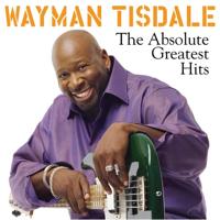 The Absolute Greatest Hits - CD (0181475703723)