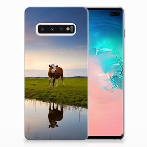 Samsung Galaxy S10 Plus TPU Hoesje Koe