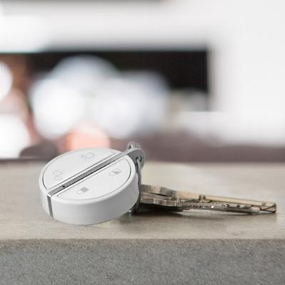 Somfy 2401489 afstandsbediening voor sleutelloze toegang & sleutelhanger RF Draadloos Wit