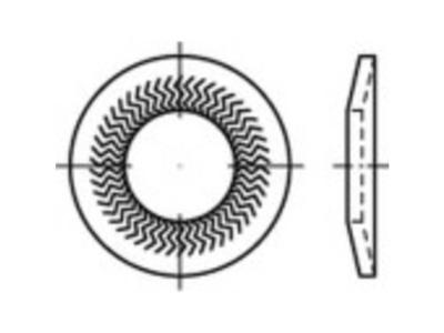 Grendelschijven 10 mm 16.1 mm Verenstaal Verzinkt 250 stuk(s) Alstertaler Schrauben & Präzisionsteile 159415 Grendelschijven 10 mm 16.1 mm Verenstaal Verzinkt 250 stuk(s) Alstertaler Schrauben & Präzisionsteile 159415