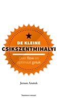 De kleine Csikszentmihalyi - Jeroen Ansink - eBook (9789047011996)