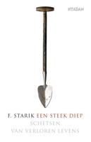 Een steek diep - F. Starik - eBook (9789046811405)