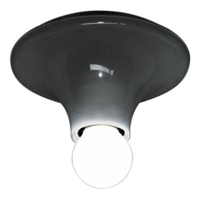 Artemide Teti Wand en Plafondlamp Antraciet