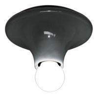 Artemide Teti Wand en Plafondlamp Antraciet