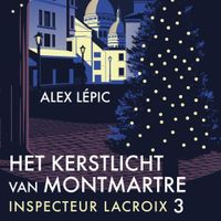 Het kerstlicht van Montmartre - thumbnail