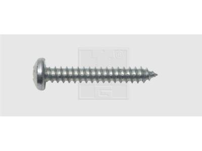 SWG 115632525 Plaatschroeven 6.3 mm 25 mm Kruiskop Phillips DIN 7981 Staal Verzinkt 100 stuk(s)