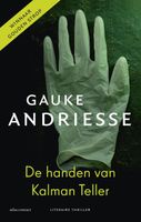 De handen van Kalman Teller - Gauke Andriesse - ebook - thumbnail