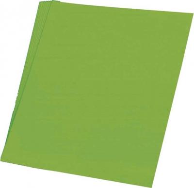 Haza Original etalagekarton fluor 48 x 68 cm 10 vel groen