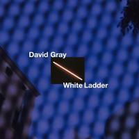 White Ladder - CD (5056167117926)