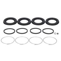 Autofren Seinsa D4493 reparatieset, remklauw