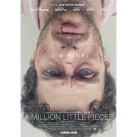 Million Little Pieces (DVD)