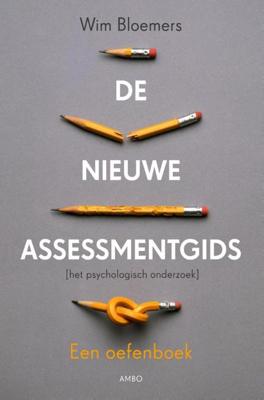 De nieuwe assessmentgids - Wim Bloemers - ebook