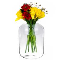 Bloemenvaas Billie - helder transparant glas - D23 x H30 cm - decoratieve vaas - bloemen/takken - thumbnail