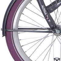 Alpina Spatbordstang set 22 Clubb purple grey - thumbnail