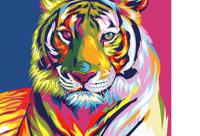 Schilderen op nummer pakket