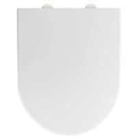 Wenko Toiletbril 38 X 46 Cm Rvs Matzilver