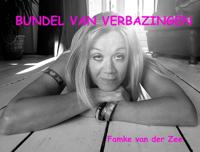 Bundel van verbazingen - Famke van der Zee - eBook (9789462664517)