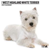 West Highland White Terrier Kalender 2021 Modern