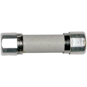 ESKA 8522707 8522707 Buiszekering (Ø x l) 5 mm x 20 mm 0.1 A 250 V Traag -T- Inhoud 1 stuk(s)