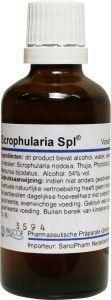 Pascoe Scrophularia similiaplex (50 ml)