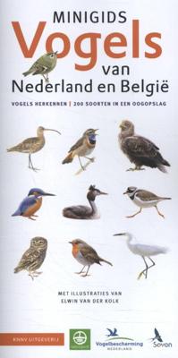 Minigids Vogels van Nederland en België - Jip Louwe Kooijmans - Pakket (9789050116985) Minigids Vogels van Nederland en België - Jip Louwe Kooijmans - Pakket (9789050116985)