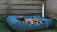 Dog's Companion® Hondenbed groen vuilafstotende coating