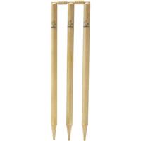 Readers wicket Match Cricket Stumps junior 63,5 cm hout 10-delig