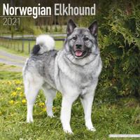 Noorse Elandhond Kalender 2021