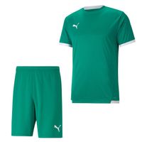 PUMA teamLIGA Trainingsset Groen Wit