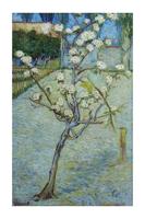 Van Gogh Pear Tree Blossoms Kunstdruk 60x80cm