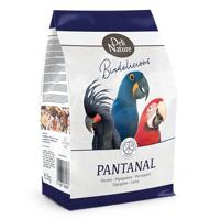 Birdelicious Papegaaien Pantana
