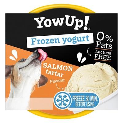YOWUP! FROZEN YOGHURT SALMON TARTAR YOWUP! FROZEN YOGHURT SALMON TARTAR