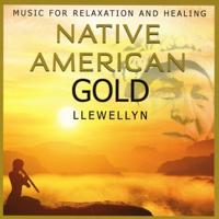 Native American Gold - CD (5060090222930)