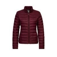 America Today gewatteerde tussenjas donkerrood