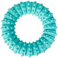 Trixie Denta Fun Natural Rubber Mint Fresh Ring voor Hond, 12 cm, 1 Stuk