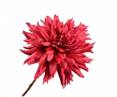 Silk-ka kunsttak dahlia 65cm rood