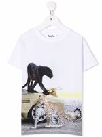 Molo t-shirt à imprimé tigre - Blanc