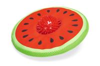 Karlie 2-in-1 frisbee meloen met noppenbal - 25 cm