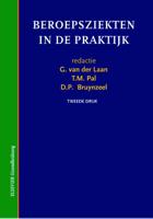 Beroepsziekten in de praktijk - Paperback (9789035231641)